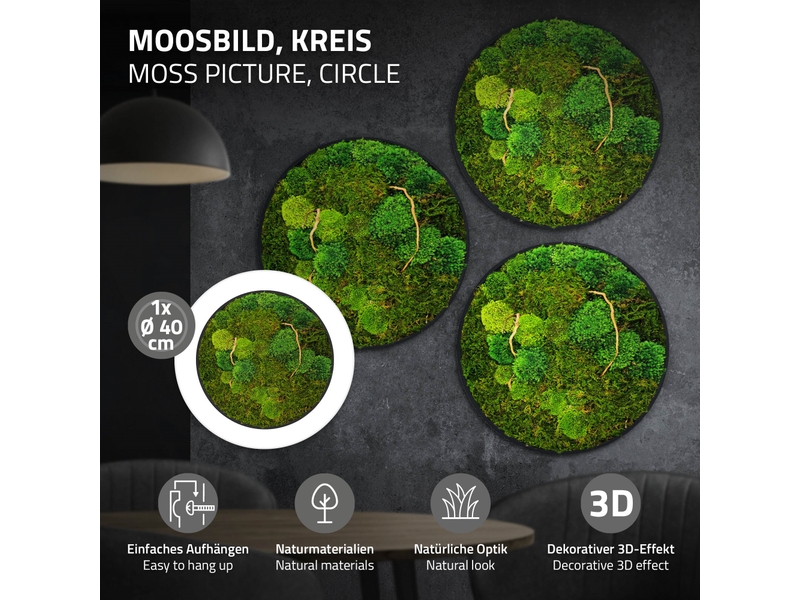 Ecd germany tableau végétal mural, mélange de mousses stabilisées et de branches, cadre en mdf rond ø 40 cm, vert, décoration d'intérieur véritable effet 3d, sans arrosage ni entretien, pièce unique ECD Germany GmbH - Conforama B