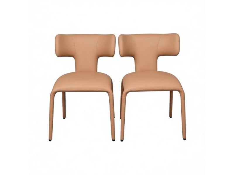 Chaises esthétiques pour cuisine et salon – lot de 2 chaises de bureau à dossier incurvé, design moderne - Conforama A