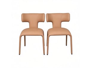 Chaises esthétiques pour cuisine et salon – lot de 2 chaises de bureau à dossier incurvé, design moderne