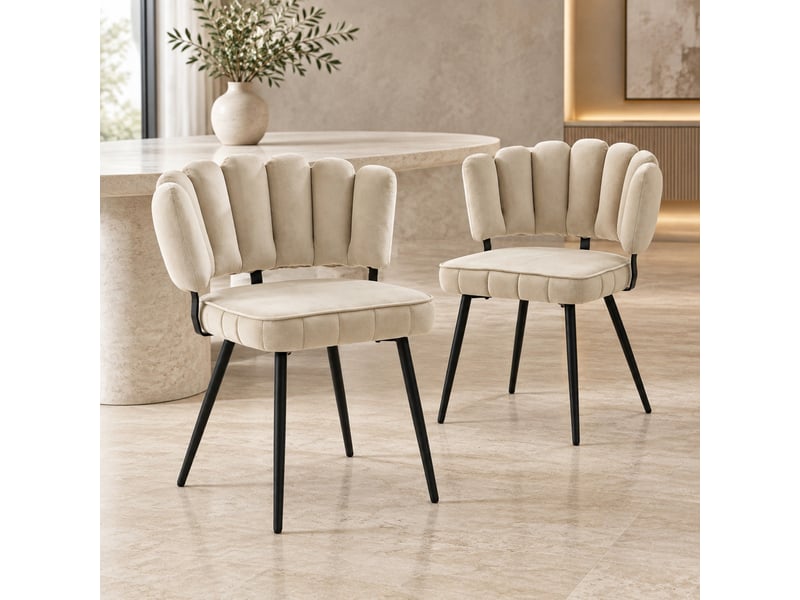  Lot de 2 chaises de salle à manger 60x46x80 cm, beige et noir, dossier fleur adapté, chaise cuisine, métal+tissu  - Conforama B
