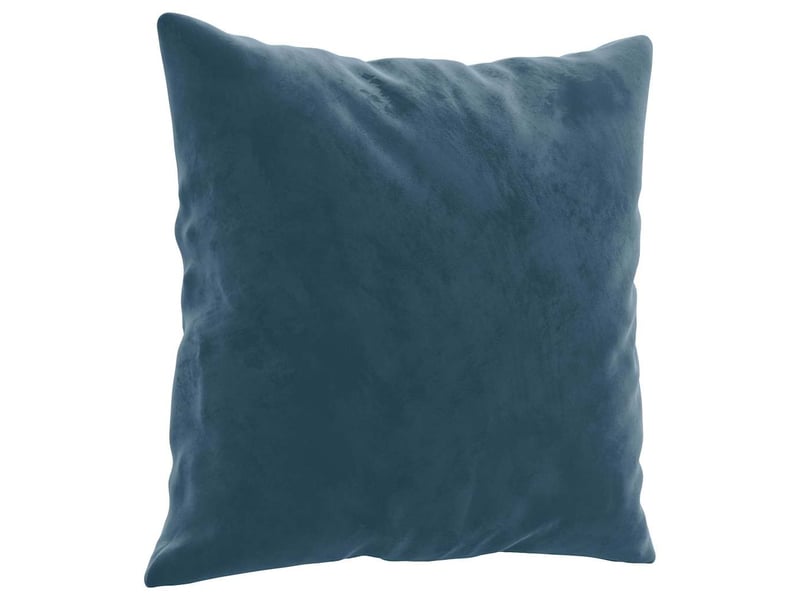  Lot de 2 coussins décoratifs bleu 40x40 cm velours cf60857  - Conforama C