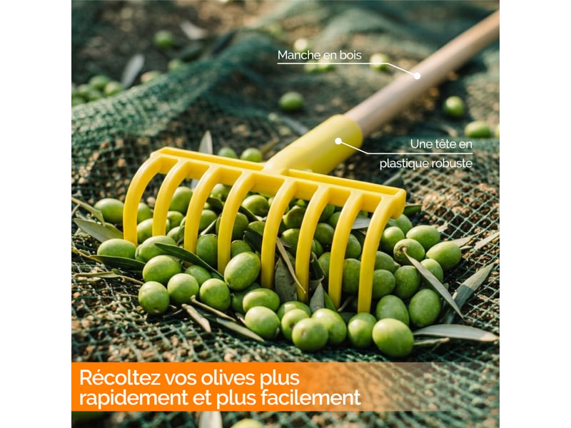 Peigne, râteau à olives 9 dents avec manche en bois 77 cm - jaune - Conforama C
