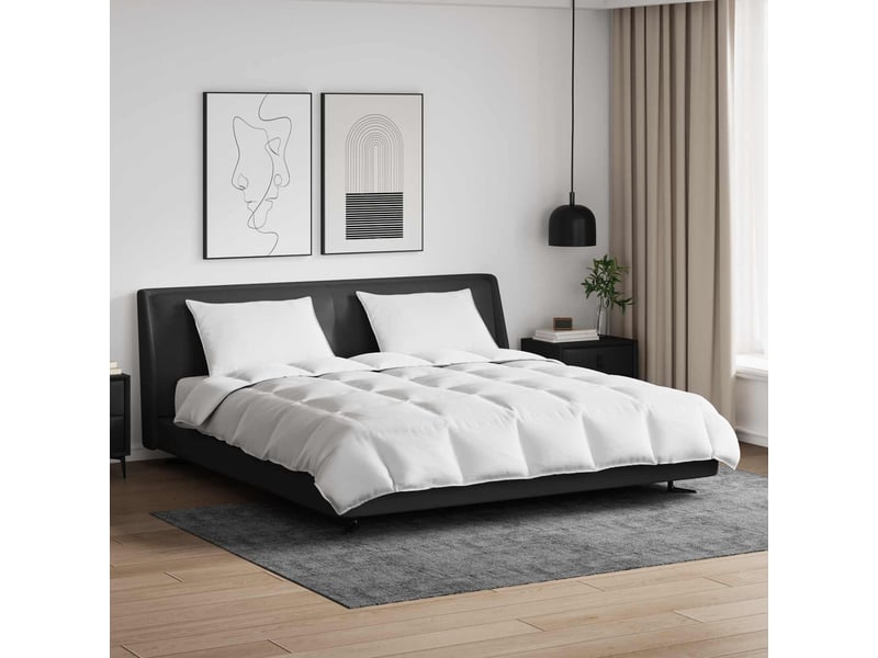 Ensemble de duvet avec oreiller 3 pcs - couette blanc plume de canard - Conforama B