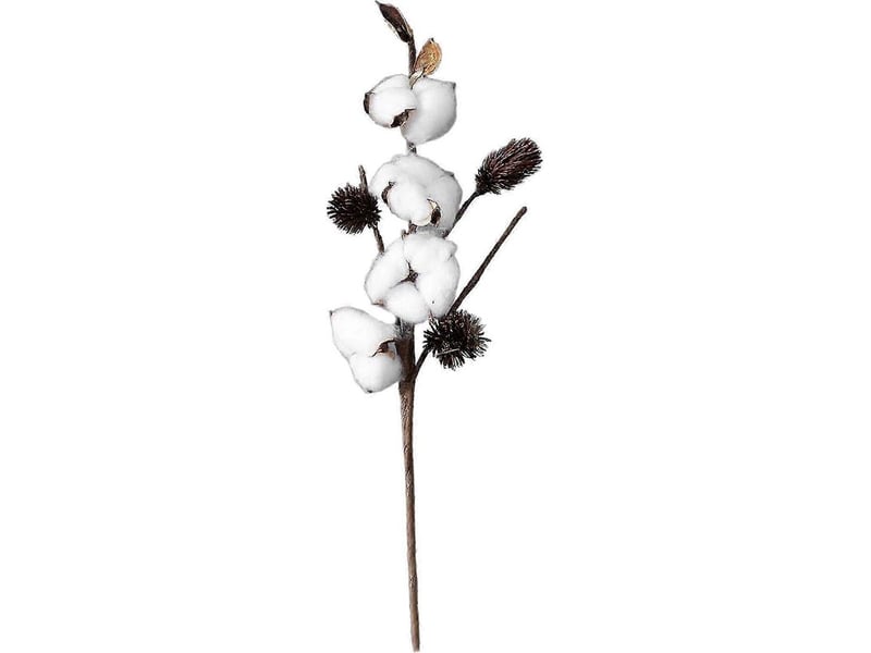  Fleurs artificielles en tiges de coton séché naturel loviver pour bricolage et jardinage-4 head  - Conforama A