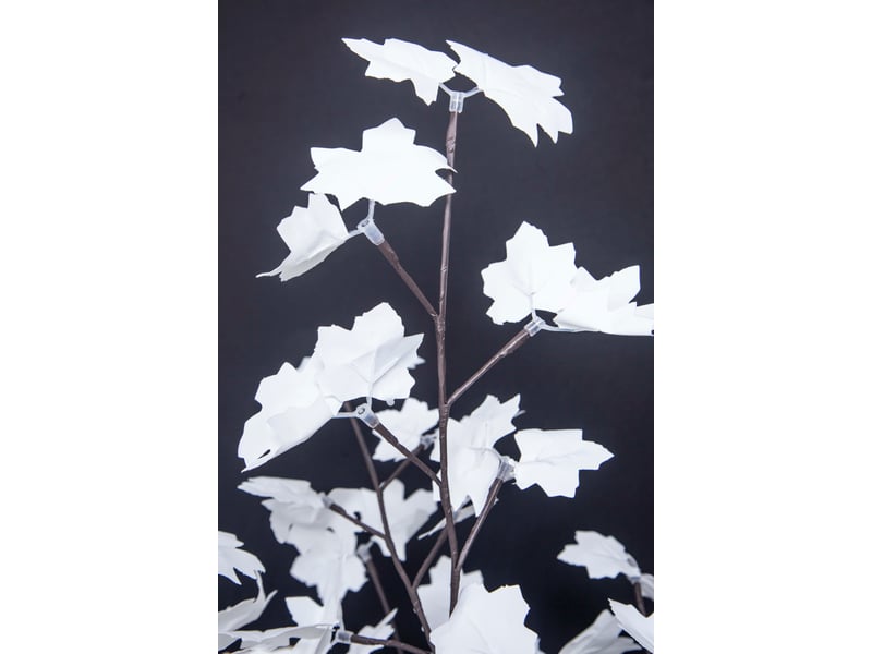 Objets lumineux Objets lumineux LUMTREE - Conforama C