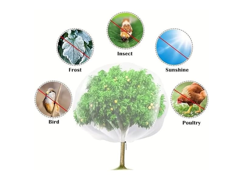 Filet de protection pour arbres fruitier 2 × 2,4 m – housse anti-insectes avec fermeture éclair et cordon, filet anti-oiseaux et animaux pour jardin et plantes - Conforama D
