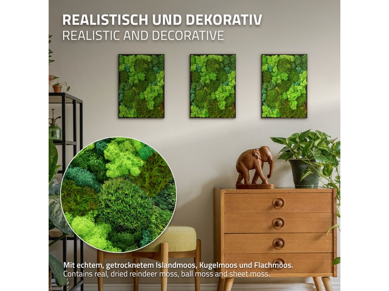 Ecd germany tableau végétal mural, mélange de mousses stabilisées, rectangulaire, 38 x 27 cm, vert, décoration d'intérieur véritable effet 3d, sans arrosage ni entretien, cadre en bois, pièce unique ECD Germany GmbH - Conforama C