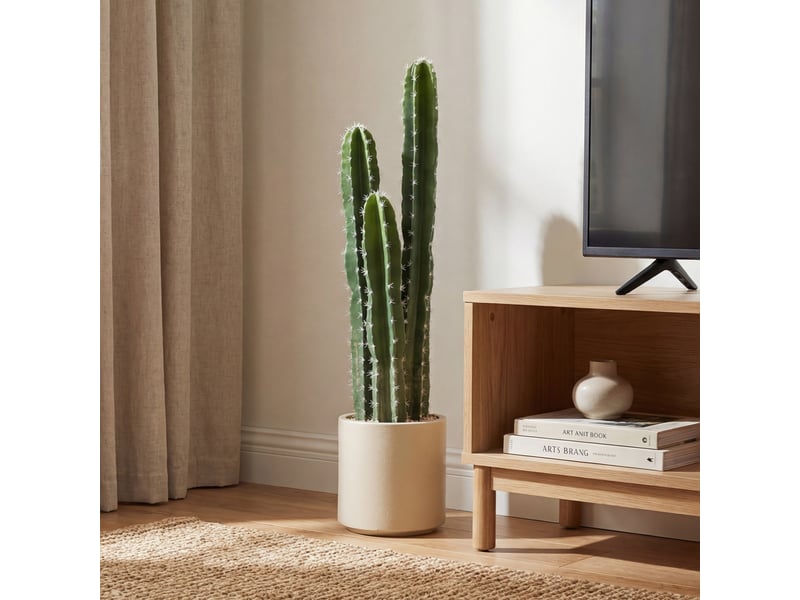  Cactus artificiel 95 cm, plante artificielle en pot, tiges réglables, grand réalisme, pour maison et bureau, vert  - Conforama D