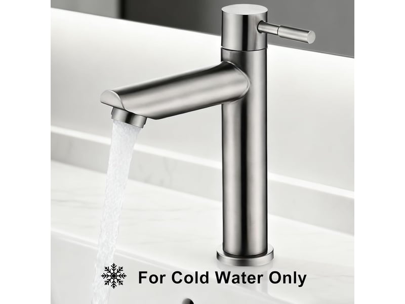  Robinet de salle de bain (1 pièce), mitigeur d'eau froide en acier inoxydable, convient aux lavabos monotrou, facile à installer  - Conforama D