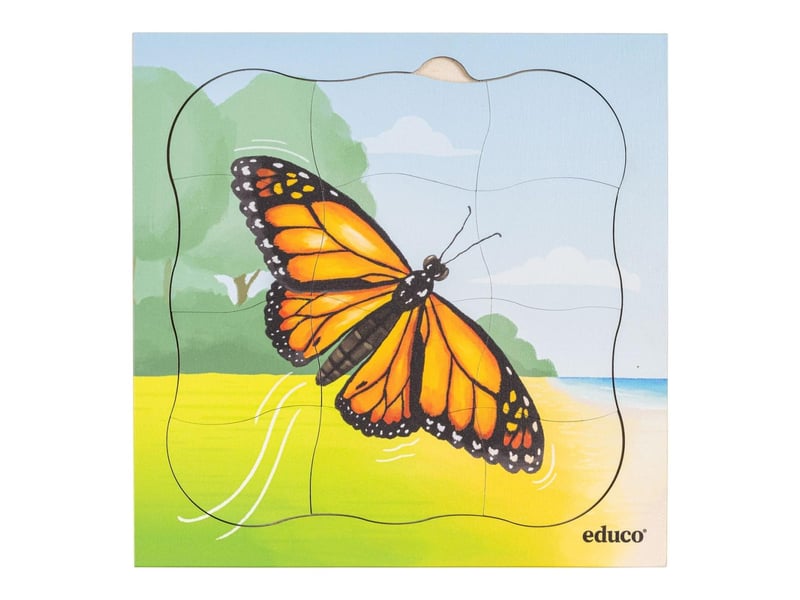  Educo dans la forêt - lot combiné  5 puzzles 8719924065201 - Conforama A