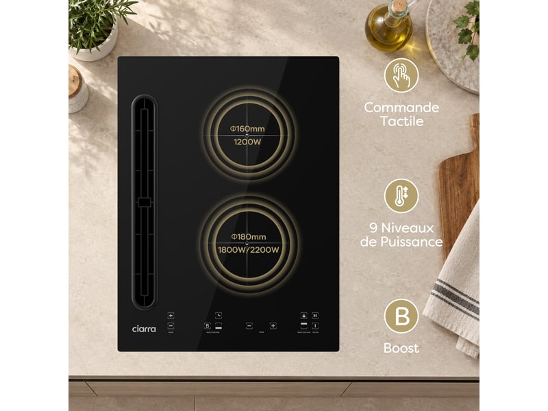  Plaque induction aspirante 2 feux 39 cm filtre charbon inclus booster 505 m³h avec fiche awbeh3952-2b AWBEH3952-2B - Conforama B