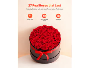 Vevor rose éternelle fleurs éternelles préservées lot de 27 boîte ronde rouge