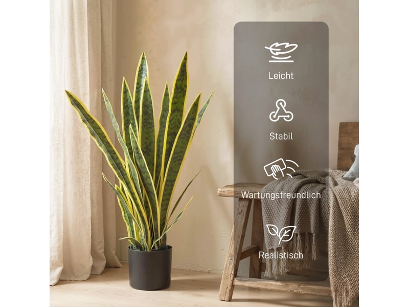  Plante artificielle sansevieria 15x15x77 cm feuilles flexibles verte  - Conforama C
