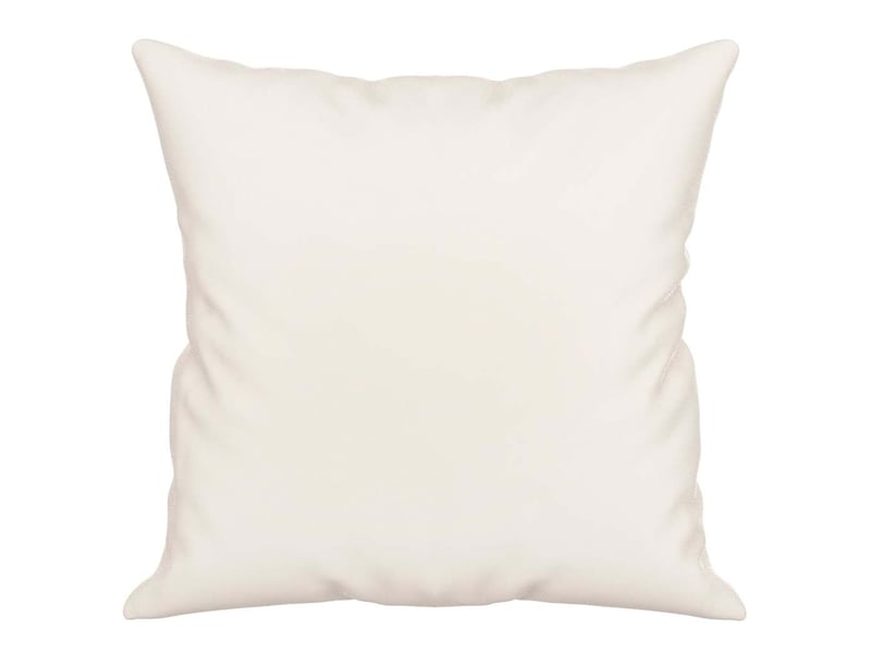  Lot de 2 coussins décoratifs beige 40x40 cm tissu microfibre cf60856  - Conforama D