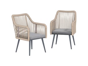 Lot de 2 fauteuils de jardin acier et rotin pe coussins gris clair 65 x 54 x 80 cm