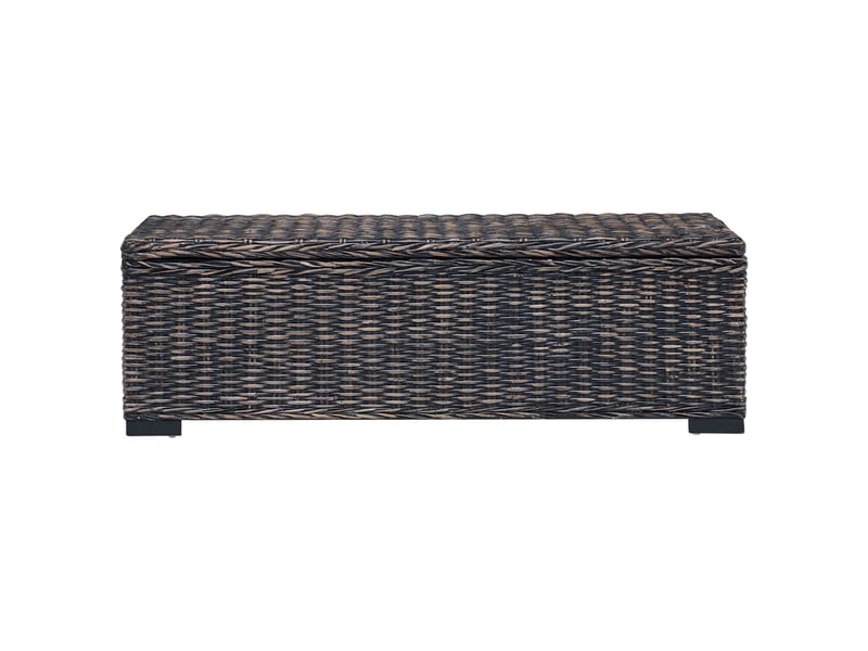  Boîte de rangement, coffre de rangement noir 110x35x45 cm  - Conforama C