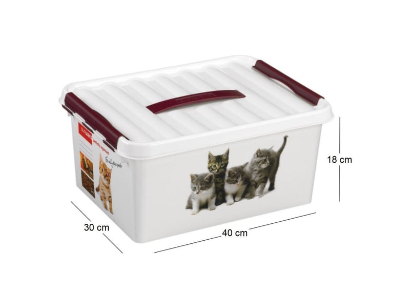  Boite q-line motif animaux 15 litres  - Conforama E