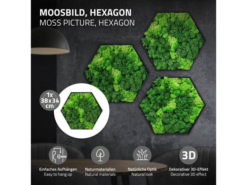 Ecd germany tableau en mousse de renne stabilisée véritable, forme hexagonale 38x34 cm, vert, décoration murale végétale d'intérieur, cadre en bois, sans arrosage ni entretien, effet 3d, pièce unique ECD Germany GmbH - Conforama B