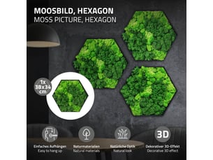 Ecd germany tableau en mousse de renne stabilisée véritable, forme hexagonale 38x34 cm, vert, décoration murale végétale d'intérieur, cadre en bois, sans arrosage ni entretien, effet 3d, pièce unique