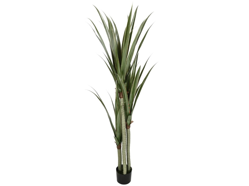  Plante de yucca artificielle de 190 cm avec 39 feuilles dans un pot en peva et ciment  - Conforama B