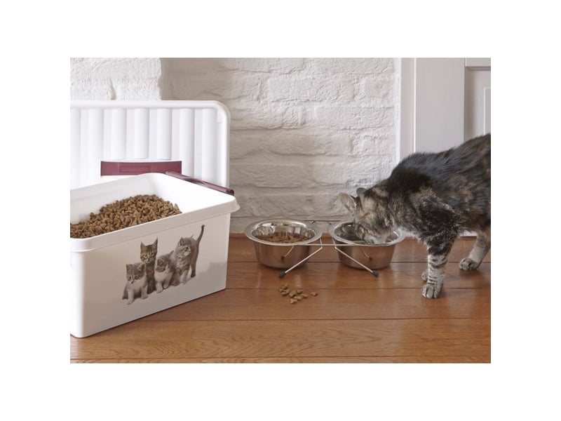  Boite q-line motif animaux 15 litres  - Conforama B