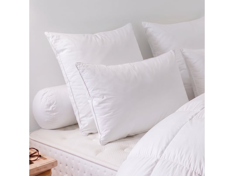 Dodo - oreiller 60x60 tradition canard - 30% duvet - ferme  - Conforama B
