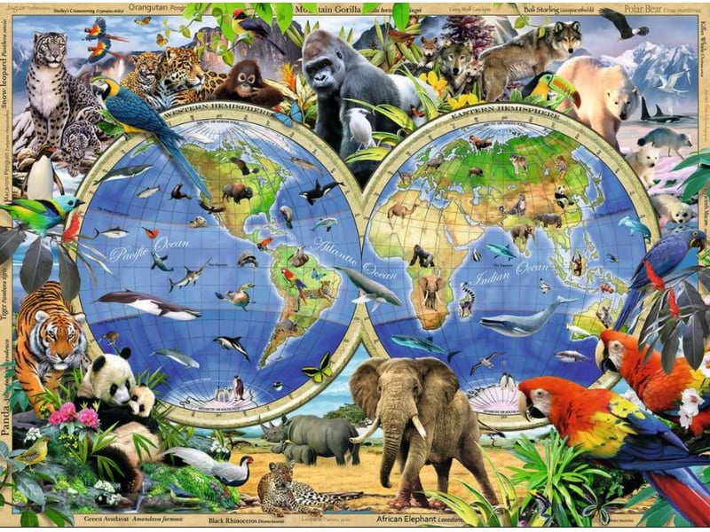  Puzzle monde sauvage 300 pieces 1730 - Conforama B